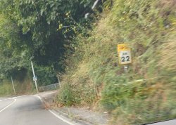 El PSOE de Mieres ante el "caos" de los desbroces exige el fin del abandono de las carreteras locales